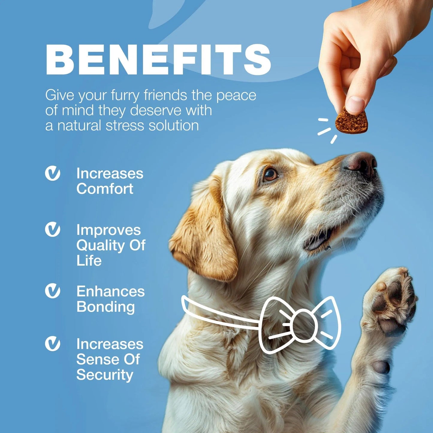Advanced Natural Hemp Calming Treats for Dogs with Melatonin, Valerian Root, Chamomile & Vitamin B Complex Anxiety Relief for Vet Visits, Grooming, Travel & Fireworks Calming Chews for Thunderstorms, Separation & Daily Stress