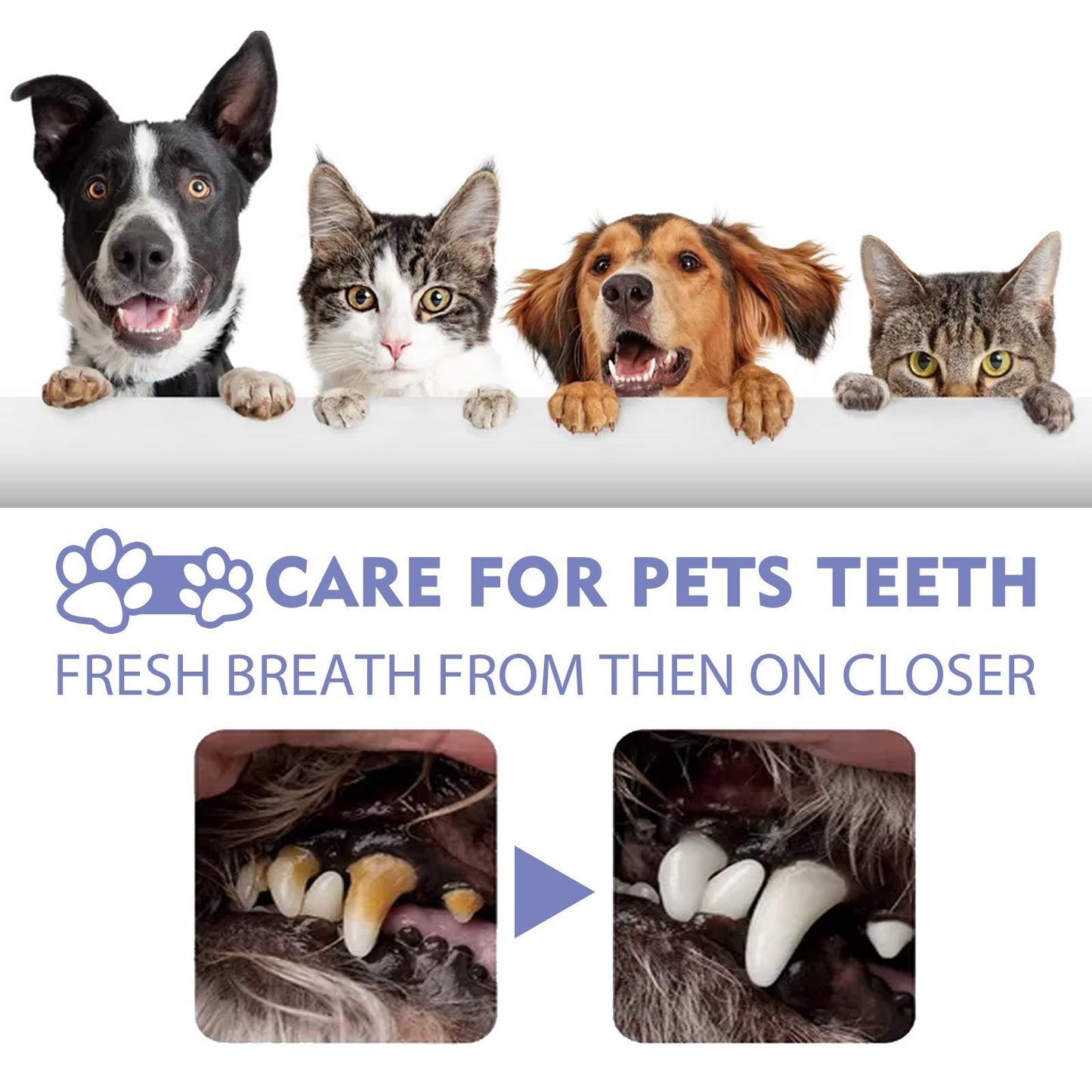 Yegebang Pet Oral Cleaning Spray - Teeth Cleaning & Deodorizing for Cats & Dogs - Fresh Breath Formula