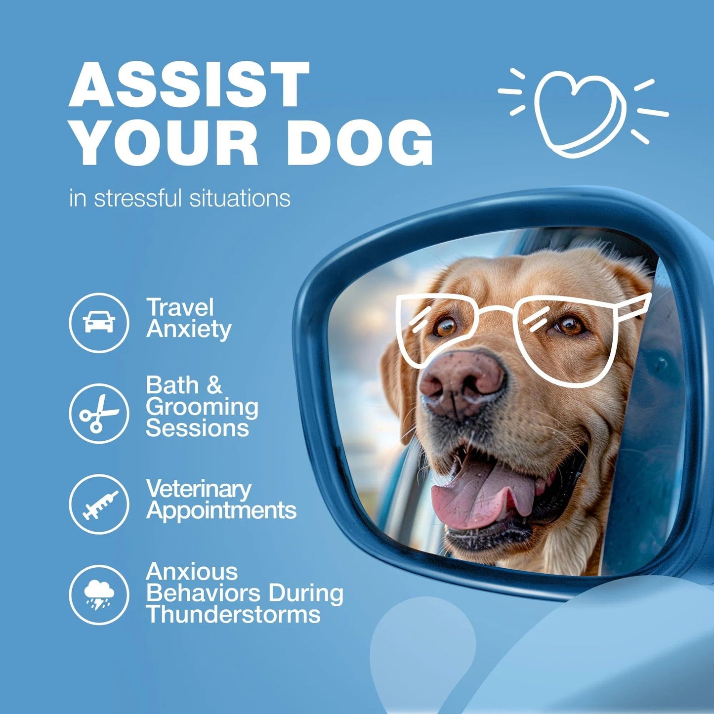 Advanced Natural Hemp Calming Treats for Dogs with Melatonin, Valerian Root, Chamomile & Vitamin B Complex Anxiety Relief for Vet Visits, Grooming, Travel & Fireworks Calming Chews for Thunderstorms, Separation & Daily Stress