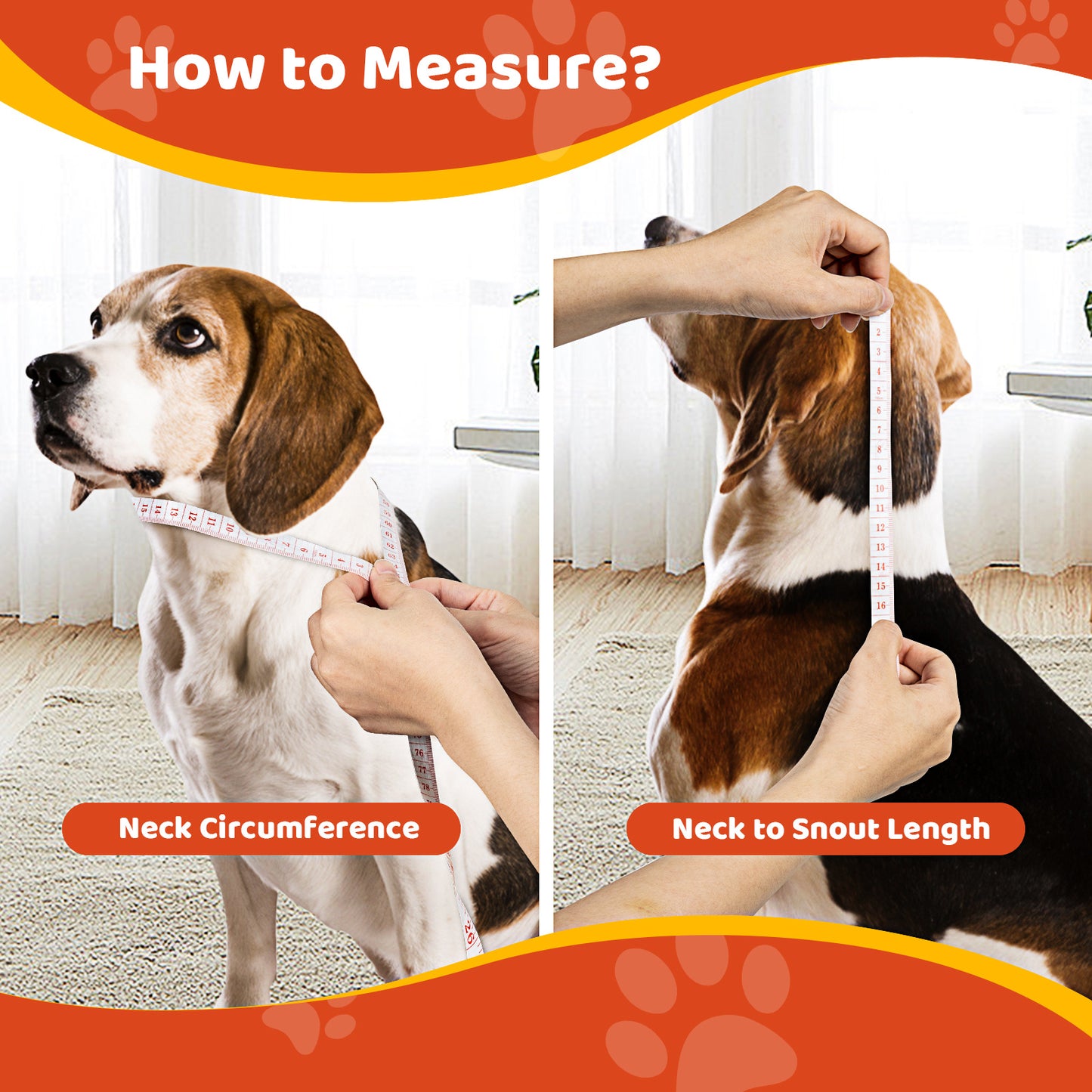 Pet Elizabethan Collar Double Layer Soft Comfortable Anti Licking Bite Cone for Dogs Cats Post Surgery Healing Protective Pet Cone Collar