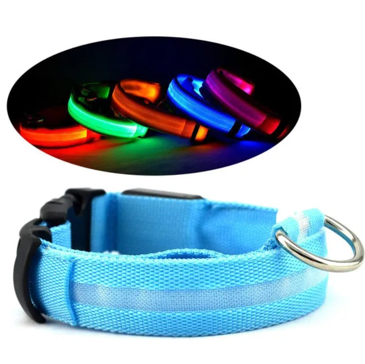 Super Bright LED Pet Halo Collar - Safety First | Adjustable Sizes, Waterproof, Stylish for Dog & Cat Adventures