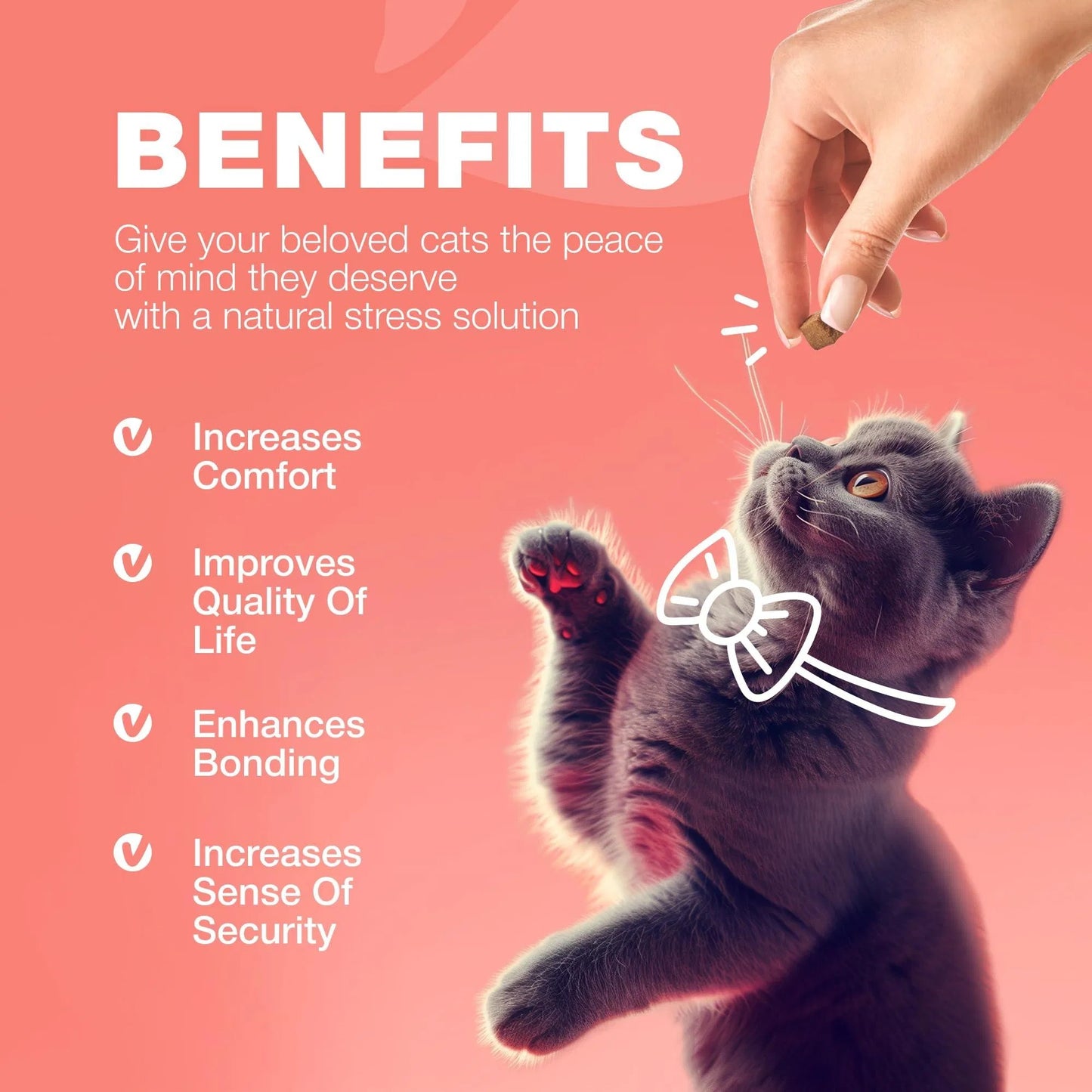 Flea & Tick Treatment for Cats - Daily Oral Soft Chews Natural Chicken Flavor Flea Tick Chews for All Breeds & Ages Safe Kitten Flea Treatment - Soft Treats for Daily Use
