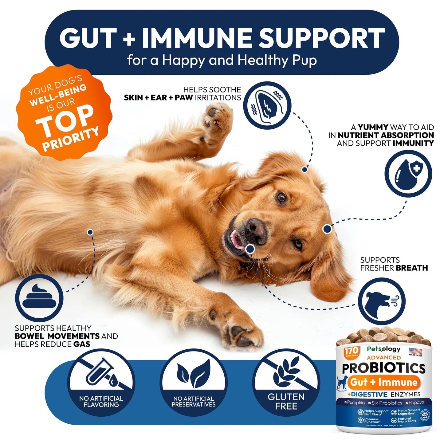 Probiotic Chews for Dogs - 170 Count with Digestive Enzymes & Prebiotics - Gut Health Support Relieves Diarrhea, Gas & Constipation - Allergy Itchy Skin Yeast Balance - All Breeds & Ages Pet Supplement