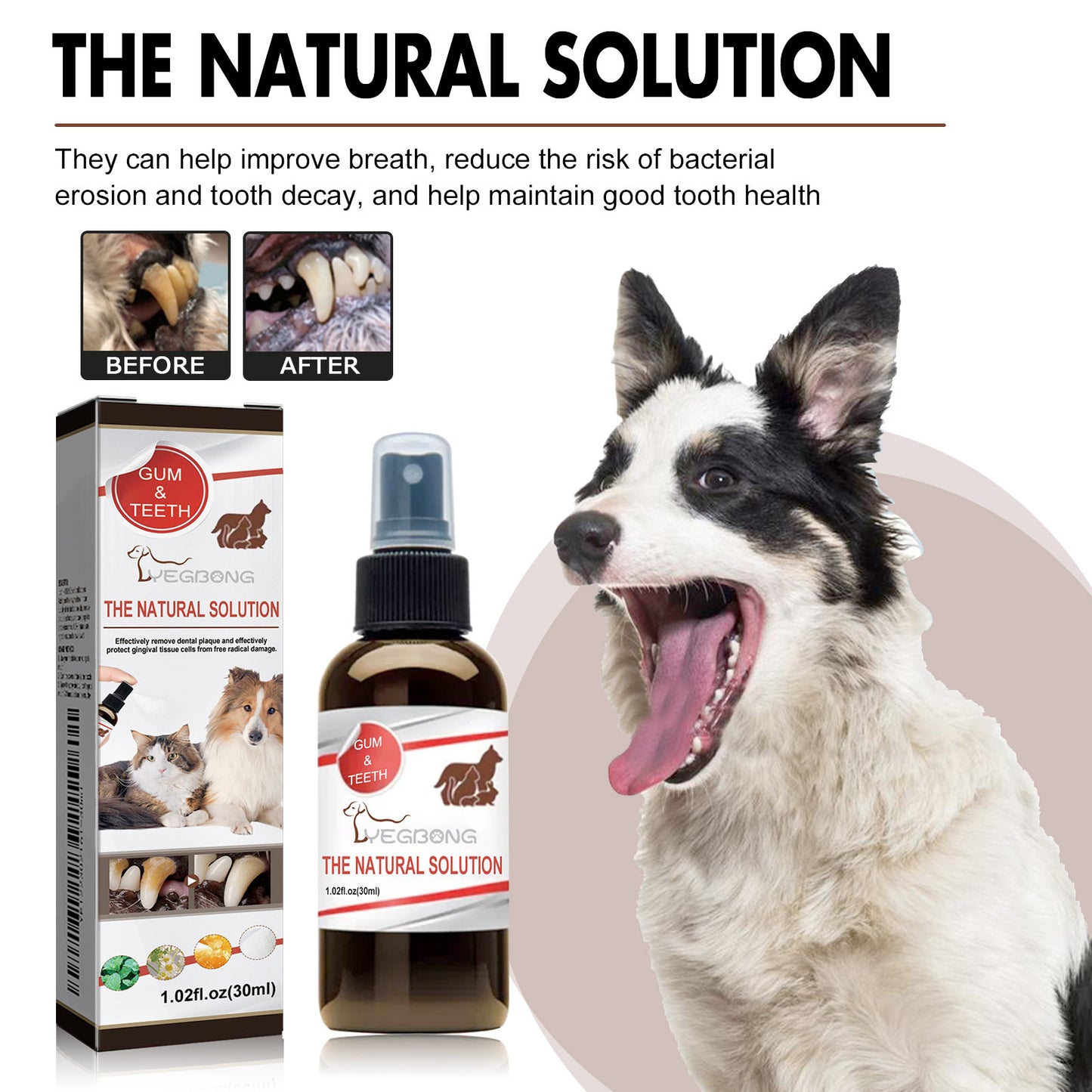 Premium Pet Dental Cleaning Spray - Tartar Remover Freshens Breath | Vet Approved Natural Formula | Safe Daily Use for Dogs Cats