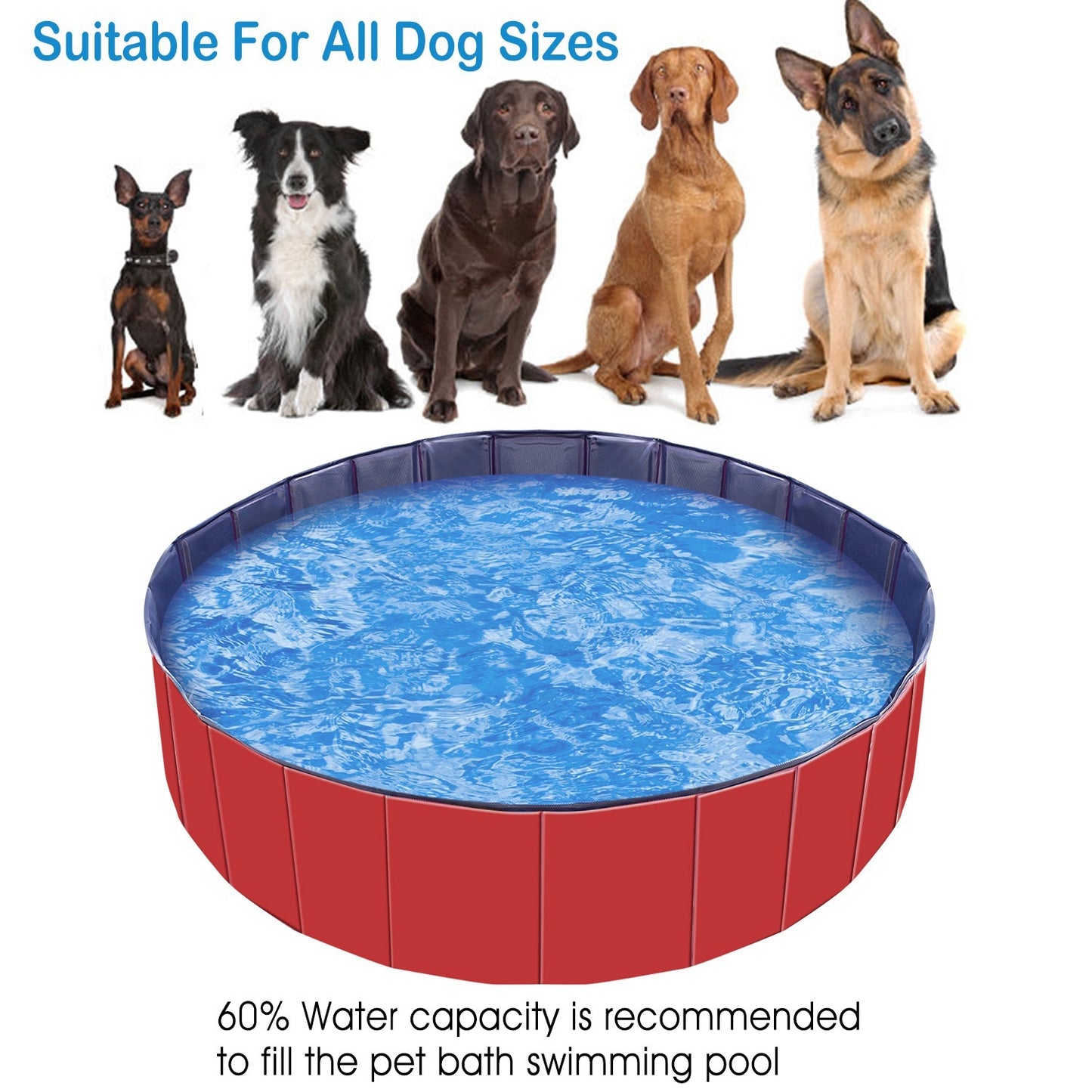 160x160x30cm Foldable Pet Swimming Pool PVC Dog Swim Bath Tub Playmat Portable Collapsible Pet Pool for Dogs Cats Outdoor Indoor Easy Setup Backyard Garden Summer Pet Supplies