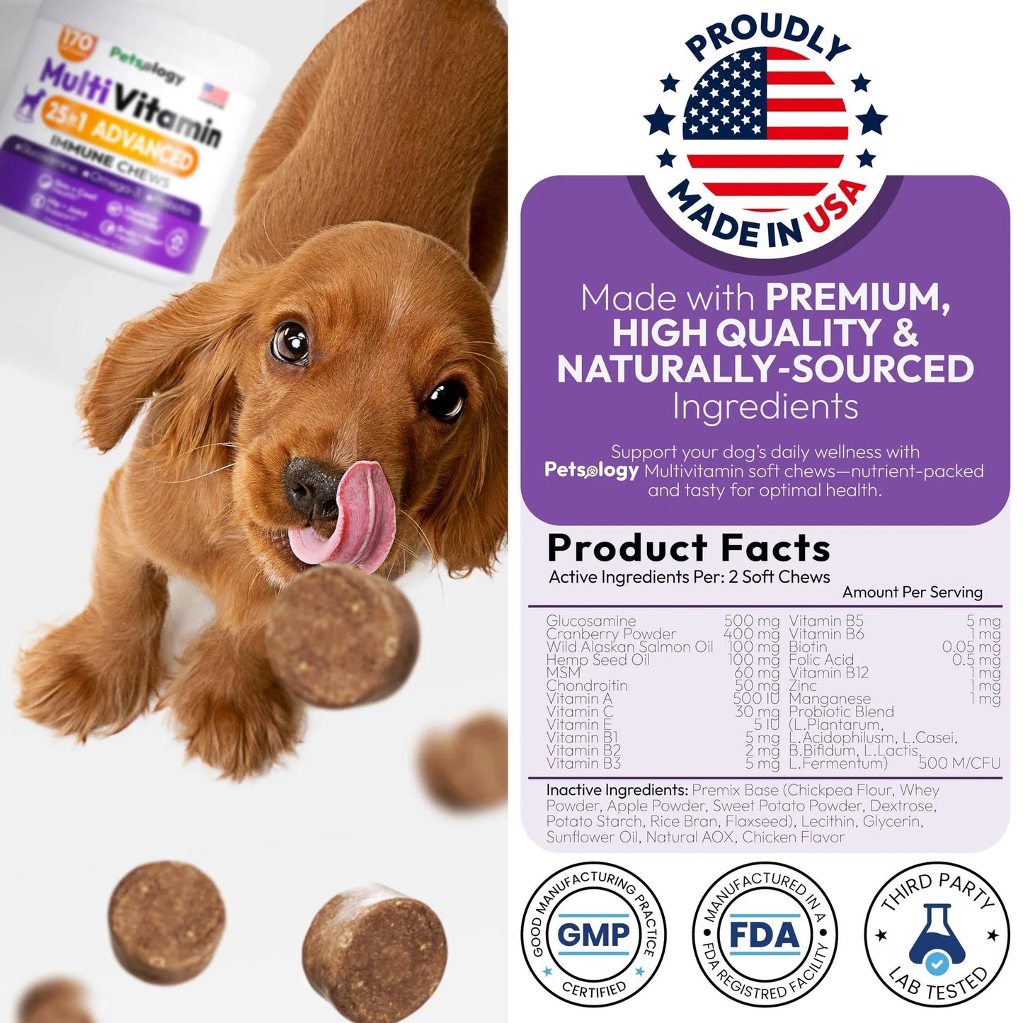 Vet - Recommended Dog Multivitamin Chews with Glucosamine - 170 Chews for Hip & Joint Health Support Immune, Skin, Coat, Gut & Heart Suitable for Senior Dogs & Puppies