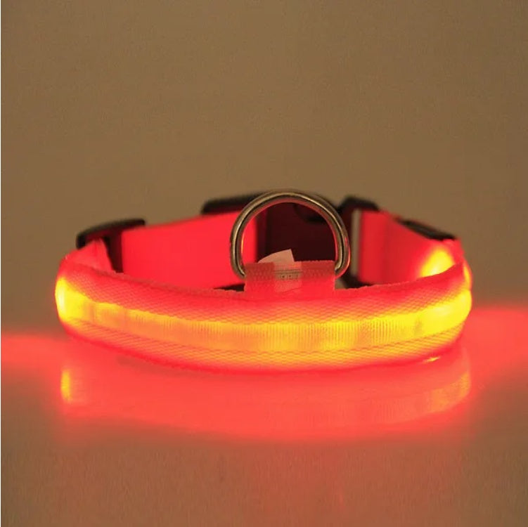 Super Bright LED Pet Halo Collar - Safety First | Adjustable Sizes, Waterproof, Stylish for Dog & Cat Adventures