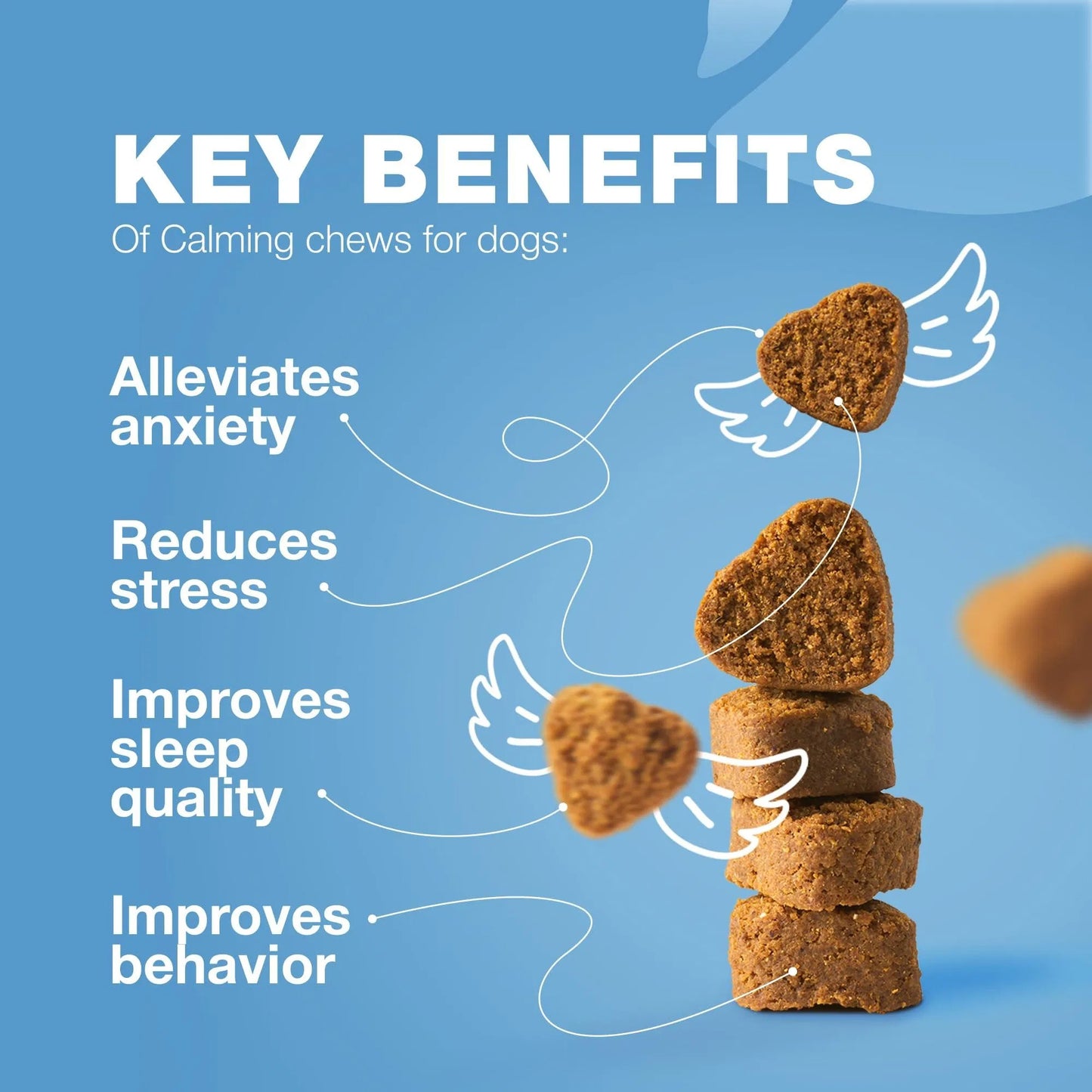 Advanced Natural Hemp Calming Treats for Dogs with Melatonin, Valerian Root, Chamomile & Vitamin B Complex Anxiety Relief for Vet Visits, Grooming, Travel & Fireworks Calming Chews for Thunderstorms, Separation & Daily Stress