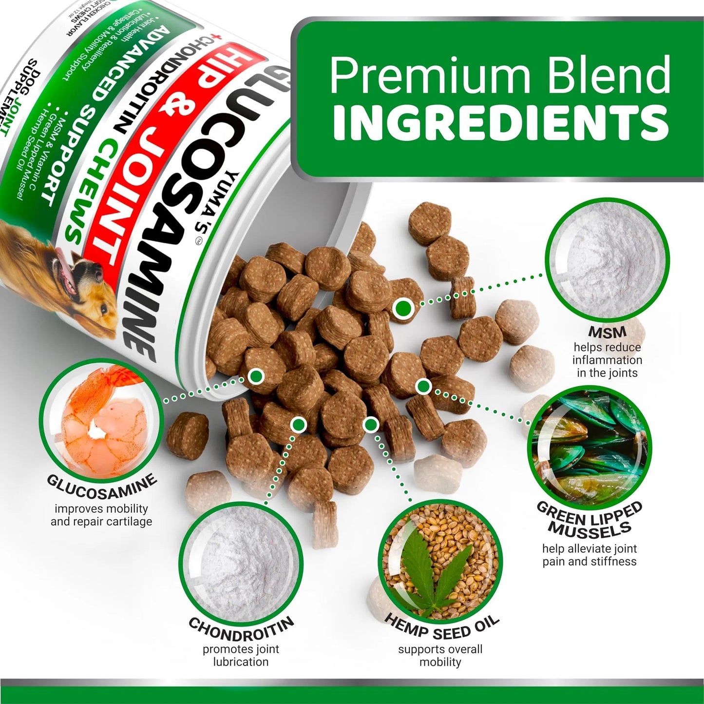 Advanced Hip & Joint Supplement for Dogs - Glucosamine Chondroitin MSM Chews 170 Ct Joint Pain Relief Treats - All-Breed Joint Health Support Delicious Soft Chews for Arthritis, Mobility & Daily Care