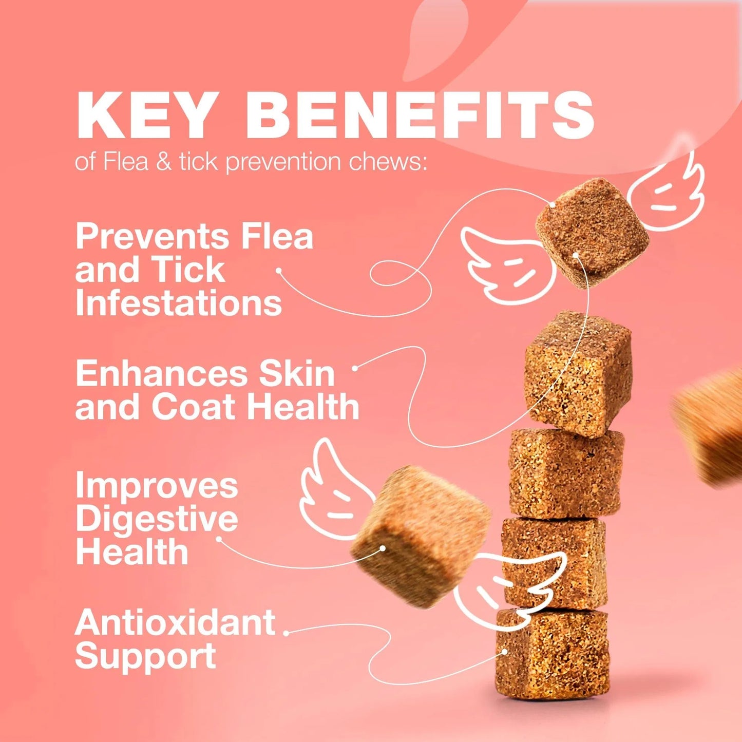 Flea & Tick Treatment for Cats - Daily Oral Soft Chews Natural Chicken Flavor Flea Tick Chews for All Breeds & Ages Safe Kitten Flea Treatment - Soft Treats for Daily Use