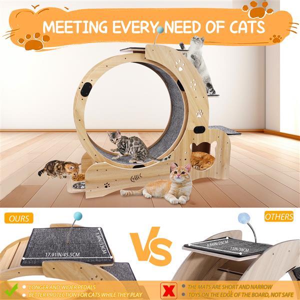 6 in 1 Upgraded Indoor Cat Wheel Sports Device Cat Exercise Wheel Multi Function Cat Fitness Equipment