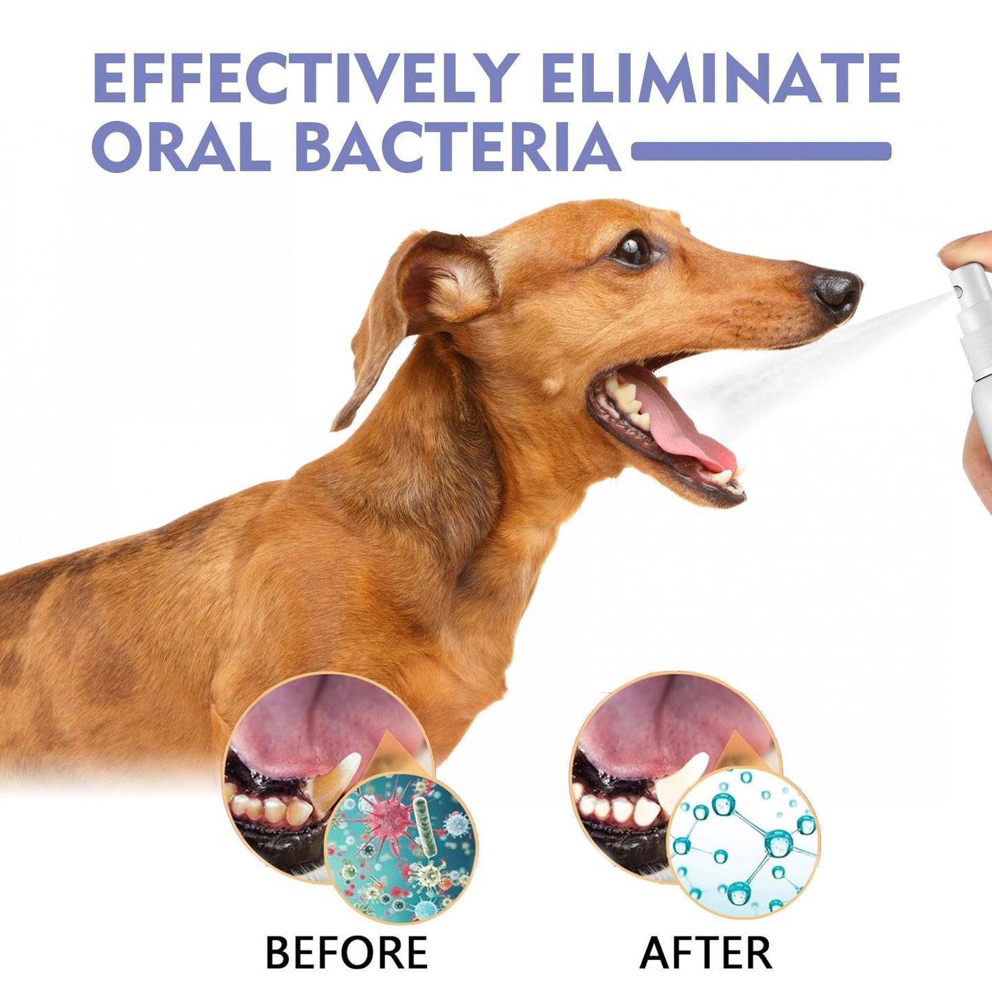 Yegebang Pet Oral Cleaning Spray - Teeth Cleaning & Deodorizing for Cats & Dogs - Fresh Breath Formula