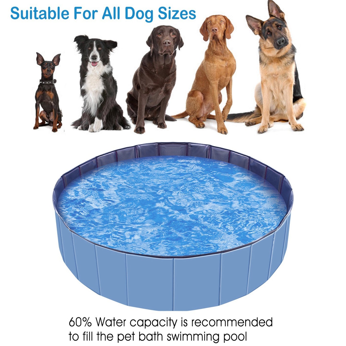 160x160x30cm Foldable Pet Swimming Pool PVC Dog Swim Bath Tub Playmat Portable Collapsible Pet Pool for Dogs Cats Outdoor Indoor Easy Setup Backyard Garden Summer Pet Supplies