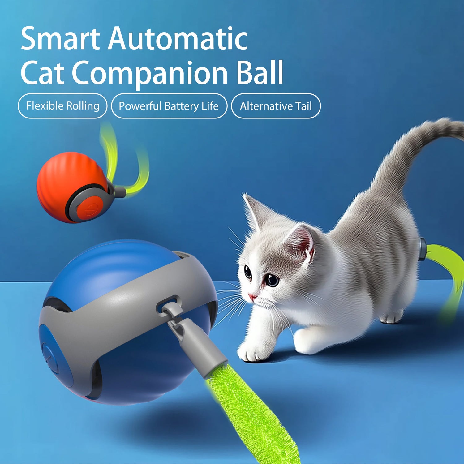 Cat Toys