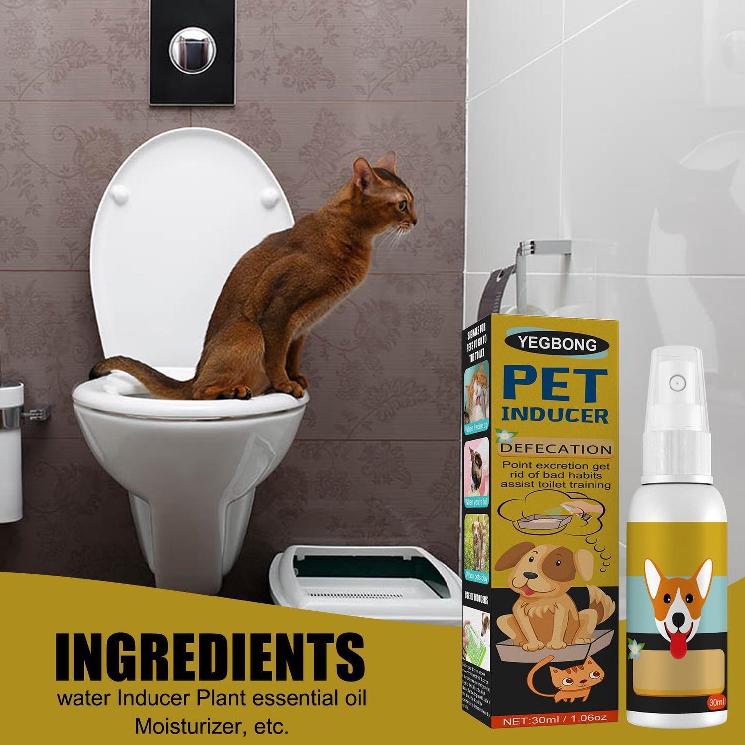 Toilet Training Systems