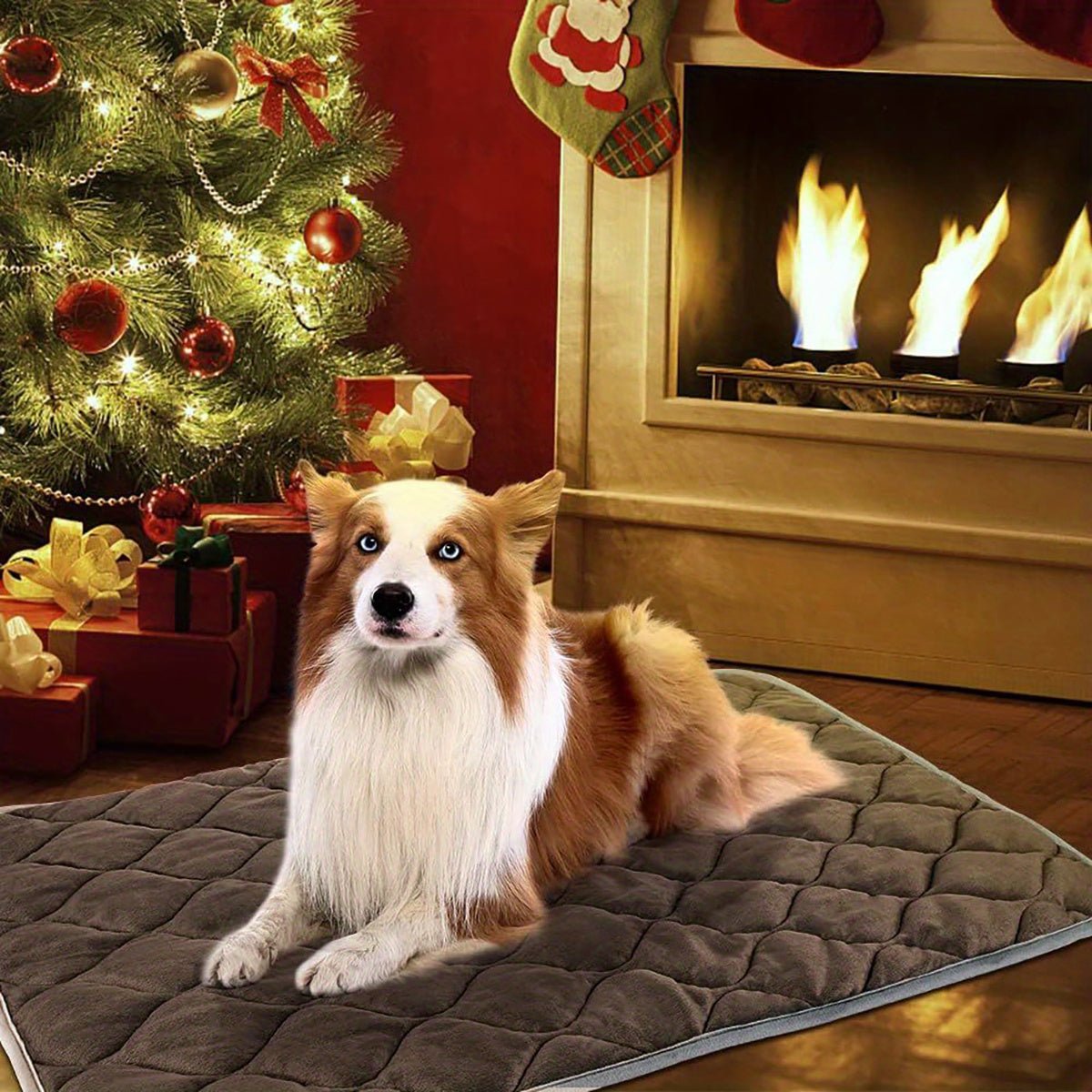 Pet Pad&Pet Cooling Mat&Pee Pads