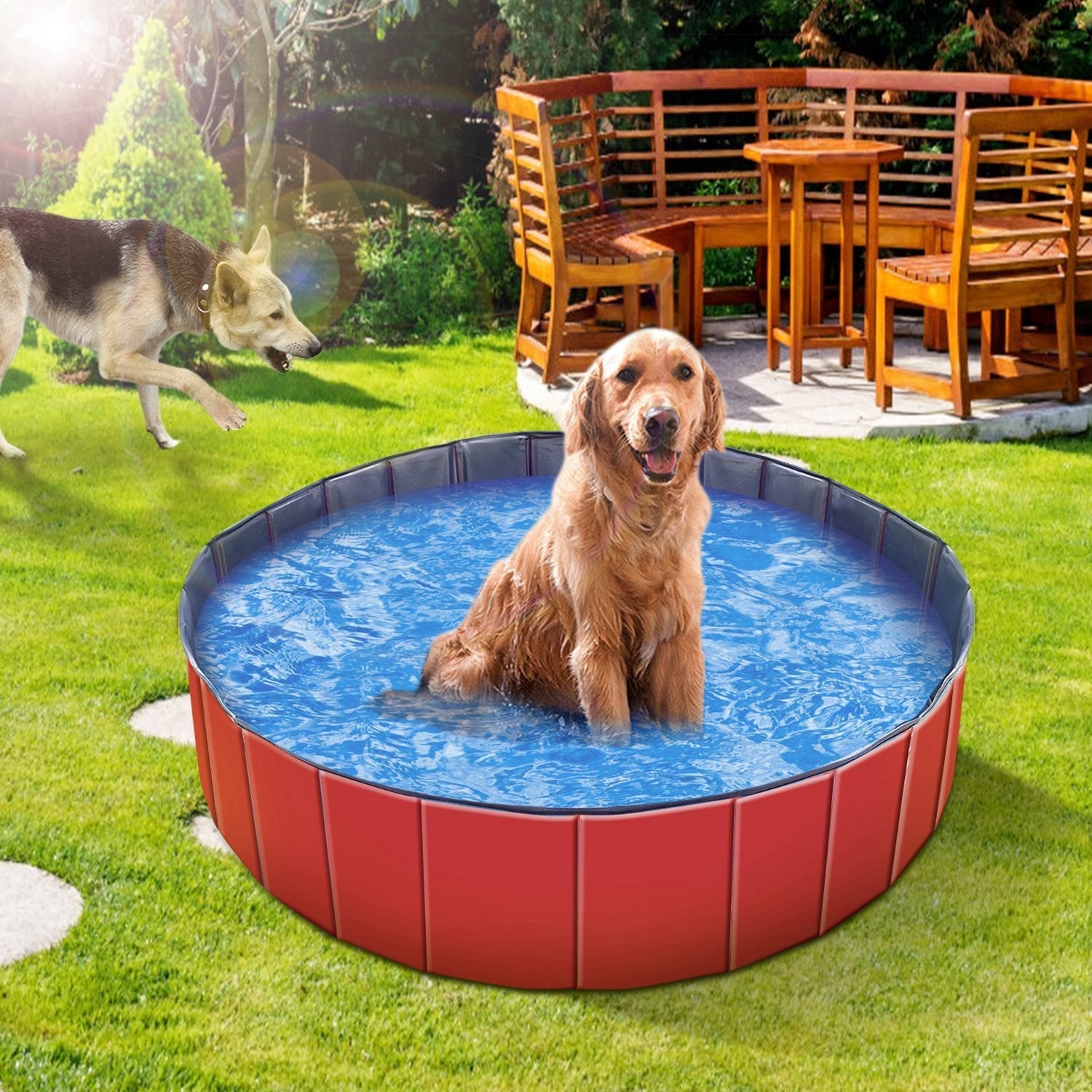 Pet Swimming Pool