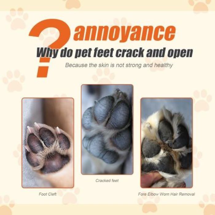 Natural Plant Formula Pet Paw Balm for Cats Dogs Softens Dry Pads Lick Proof 1.7 Oz Moisturizing Paw Care Balm for Pets