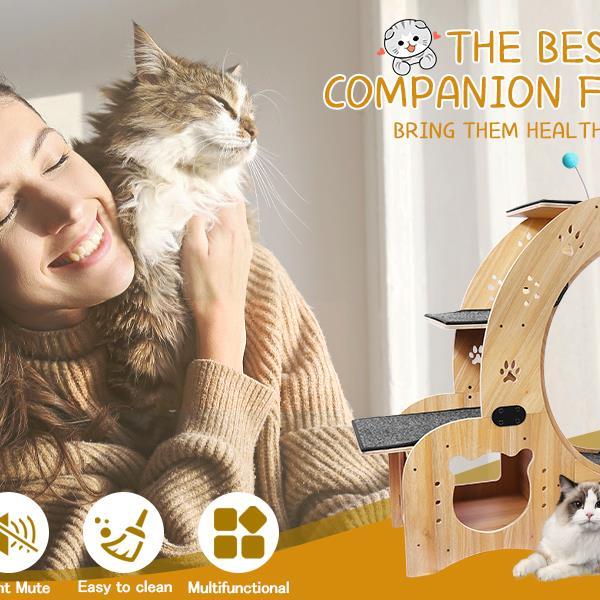 6 in 1 Upgraded Indoor Cat Wheel Sports Device Cat Exercise Wheel Multi Function Cat Fitness Equipment