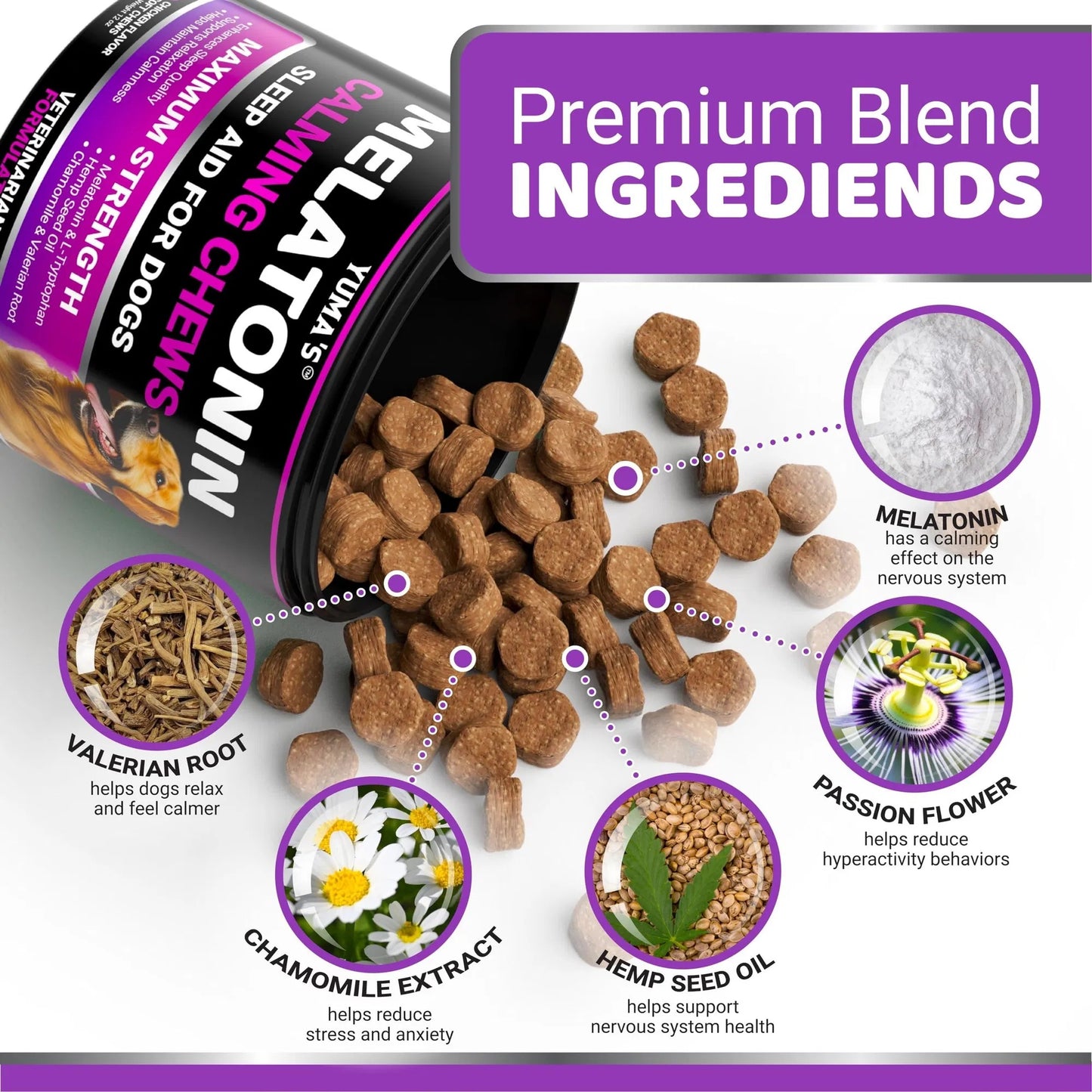 Melatonin Calming Chews for Dogs - 170 Stress Relief Treats Anxiety Relief for Separation, Thunderstorms & Travel Natural Calming Aid - Delicious Soft Chews for Canine Anxiety