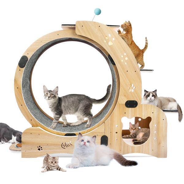 6 in 1 Upgraded Indoor Cat Wheel Sports Device Cat Exercise Wheel Multi Function Cat Fitness Equipment