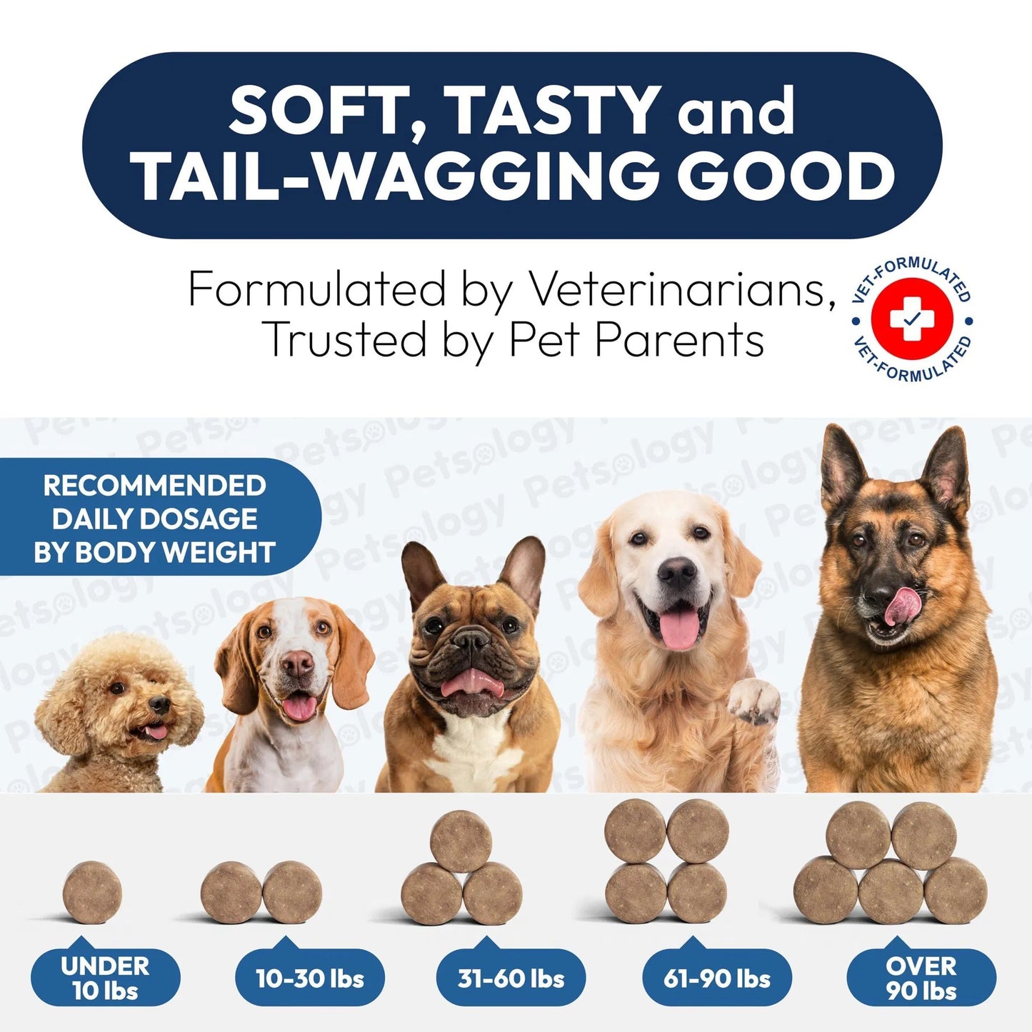 Probiotic Chews for Dogs - 170 Count with Digestive Enzymes & Prebiotics - Gut Health Support Relieves Diarrhea, Gas & Constipation - Allergy Itchy Skin Yeast Balance - All Breeds & Ages Pet Supplement