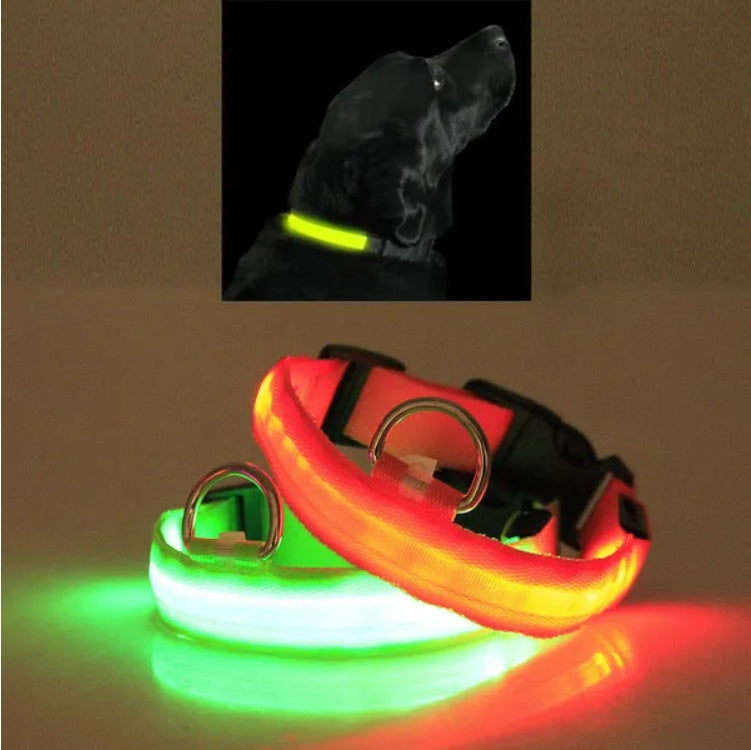 Super Bright LED Pet Halo Collar - Safety First | Adjustable Sizes, Waterproof, Stylish for Dog & Cat Adventures