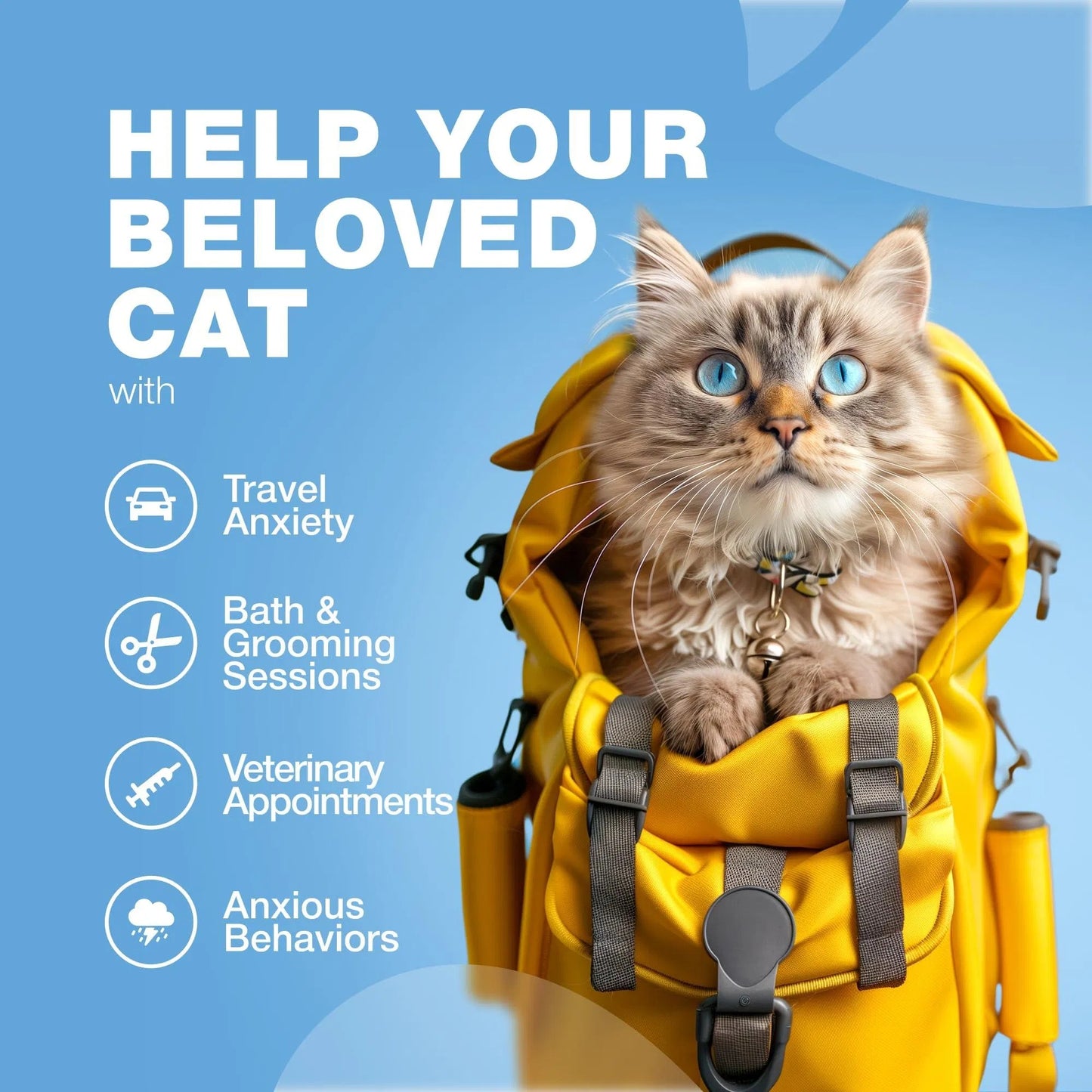 Natural Hemp & Melatonin Calming Treats for Cats with Hemp Seed Oil & Probiotics - Anxiety Relief Storms, Travel, Grooming & Separation - Soft Chews Feline Calming Aid for Stress & Daily Anxiety