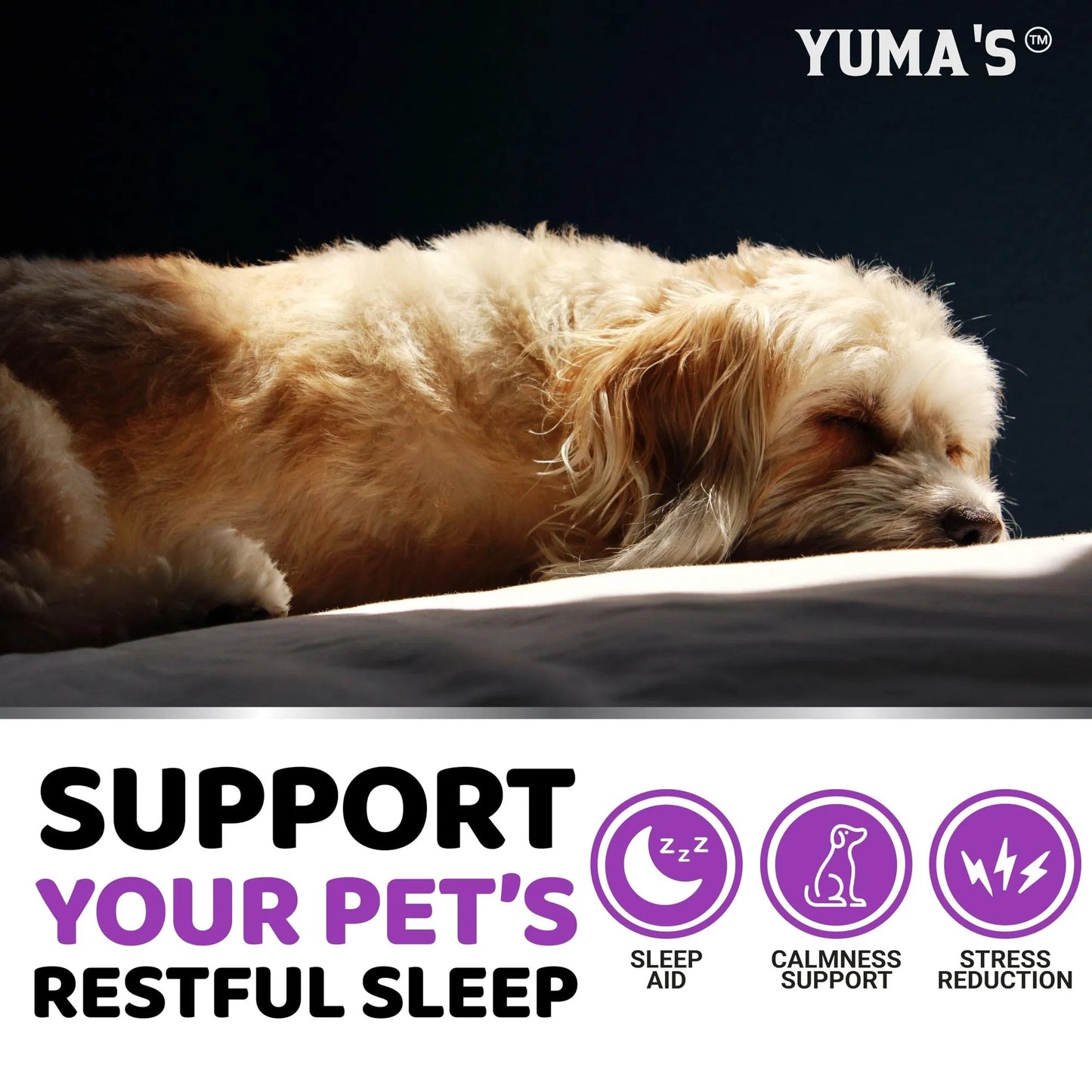 Melatonin Calming Chews for Dogs - 170 Stress Relief Treats Anxiety Relief for Separation, Thunderstorms & Travel Natural Calming Aid - Delicious Soft Chews for Canine Anxiety