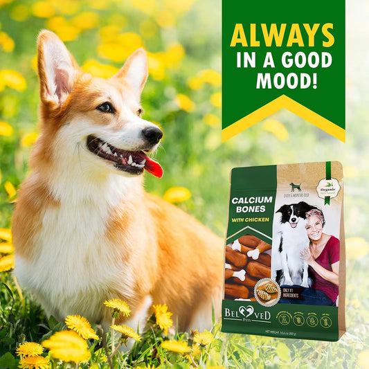 Dog Calcium Bones Wrapped Chicken & Rawhide Free Chew Treats Pet Healthy Dried Snacks Grain Free Organic Meat Chews For Training Small Large Dogs