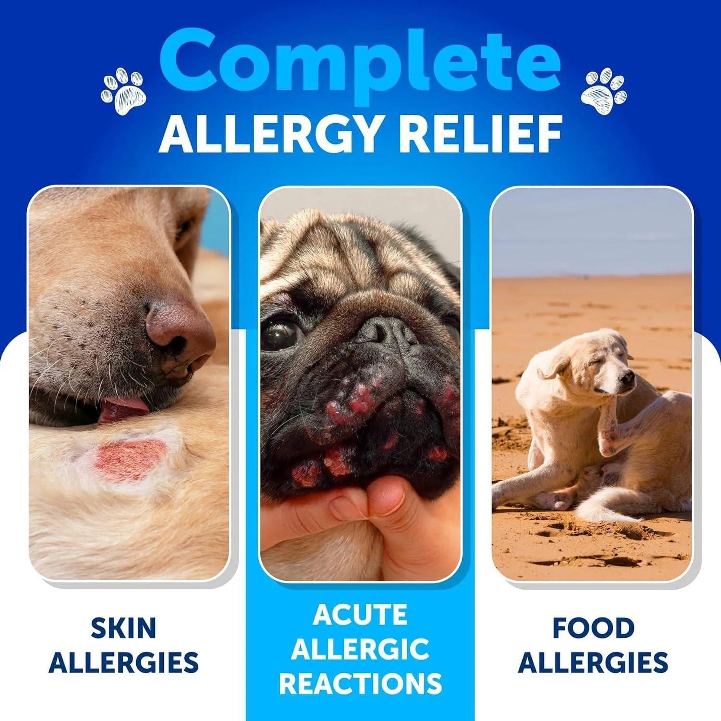 Dog Probiotic Chews - 180 Count with Digestive Enzymes & Prebiotics - Gut Health Support Relieve Itchy Skin, Allergies & Immune Boost Yeast Balance - Reduce Diarrhea, Gas & Constipation