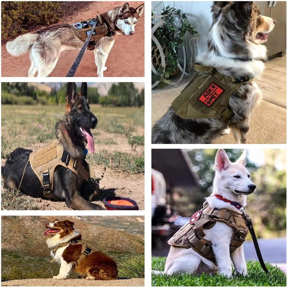 Luxury Pet Harness Dog Leash Set Camouflage Nylon Chest Harness for Dogs Adjustable Padded Comfort Heavy Duty Pet Harness Leash Set Fashionable Outdoor Dog Gear for Medium Large Dogs Training Walking Supplies
