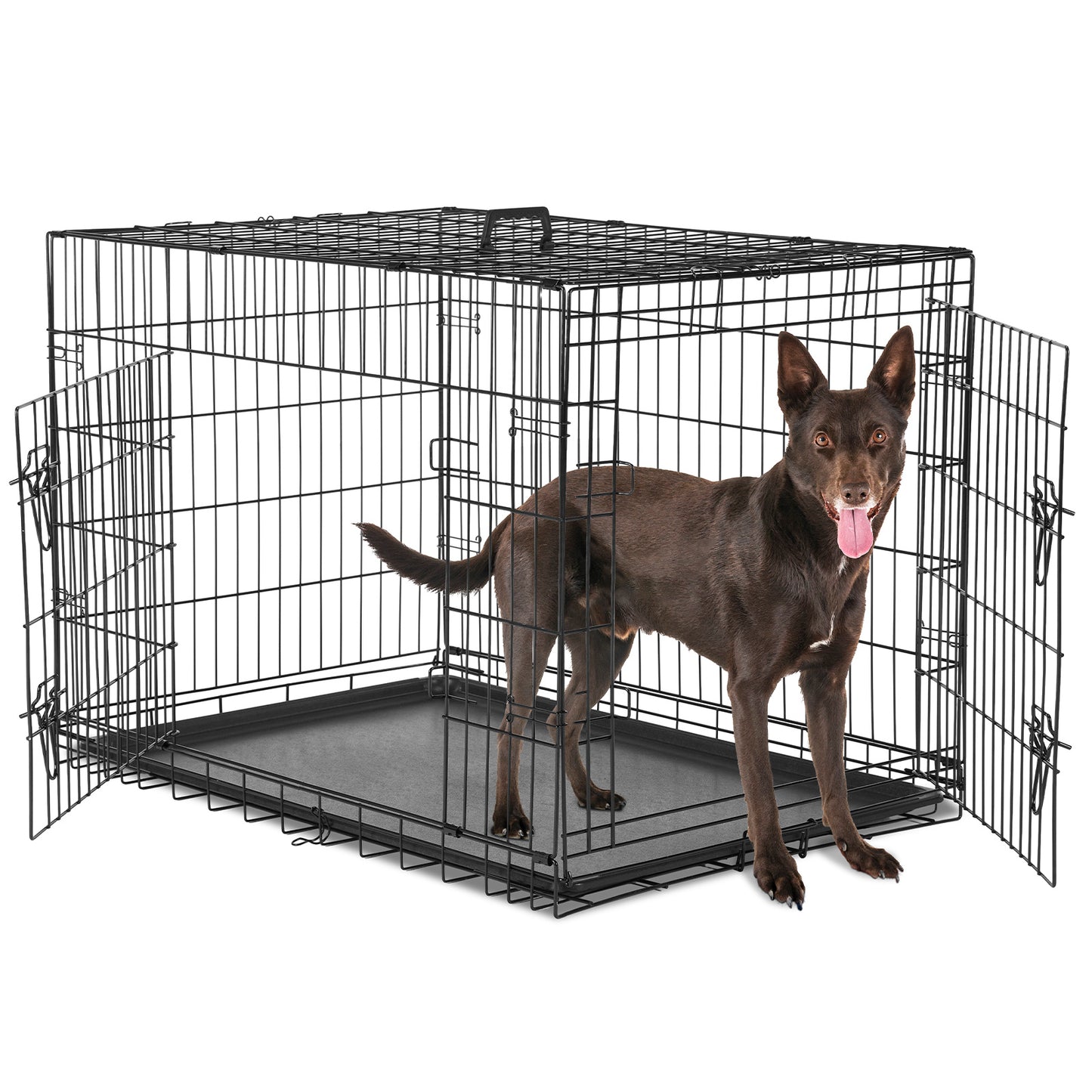 2-Door Dog Cage Heavy Duty Metal Dog Crate with Double Doors Foldable Portable Pet Kennel for Medium Large Dogs Indoor Outdoor Travel Crate with Divider Tray Leak-Proof Design Pet Supplies