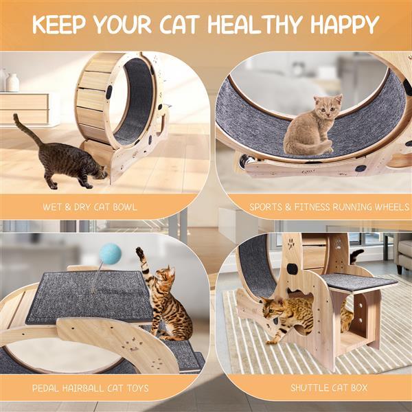 6 in 1 Upgraded Indoor Cat Wheel Sports Device Cat Exercise Wheel Multi Function Cat Fitness Equipment