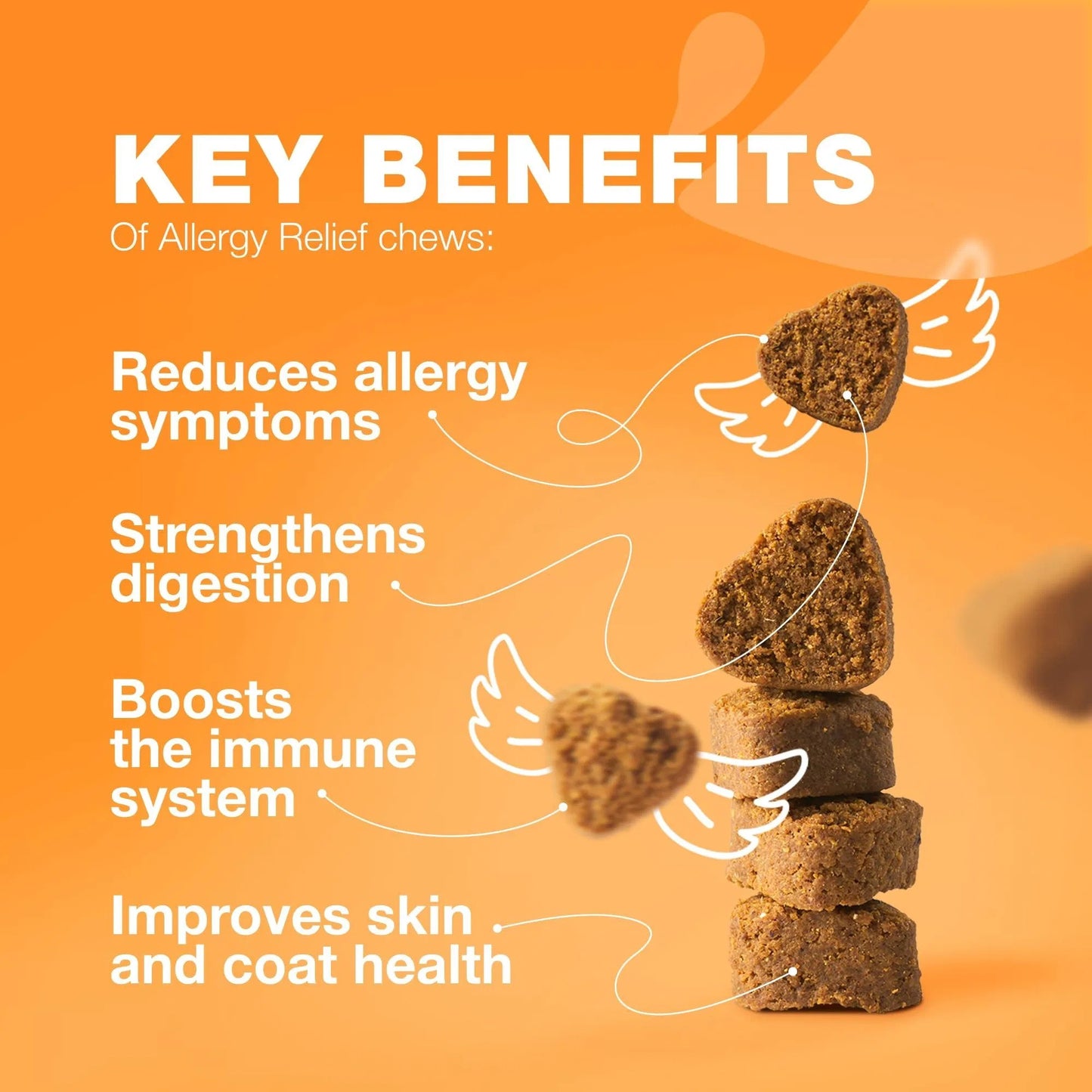 Vet-Formulated USA Dog Allergy Relief Chews Anti-Itch Skin Relief with Salmon Oil - Immune Support Seasonal Allergies, Hot Spots & Itching - Delicious Soft Treats