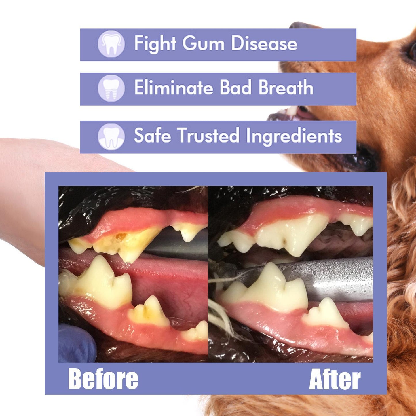 Yegebang Pet Oral Cleaning Spray - Teeth Cleaning & Deodorizing for Cats & Dogs - Fresh Breath Formula