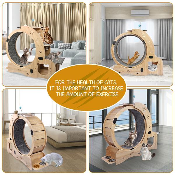 6 in 1 Upgraded Indoor Cat Wheel Sports Device Cat Exercise Wheel Multi Function Cat Fitness Equipment