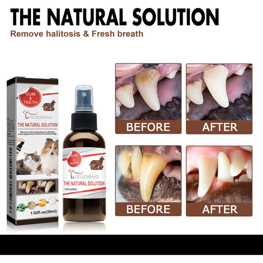 Pet Tooth Cleaning Spray 99% Oral Bacteria Killer Enzyme-Activated Formula Quick Bad Breath Elimination Plaque Tartar Remover Pet Dental Care Spray for Dogs Cats Oral Hygiene Pet Supplies