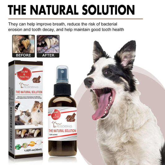 Premium Pet Dental Cleaning Spray - Tartar Remover Freshens Breath | Vet Approved Natural Formula | Safe Daily Use for Dogs Cats