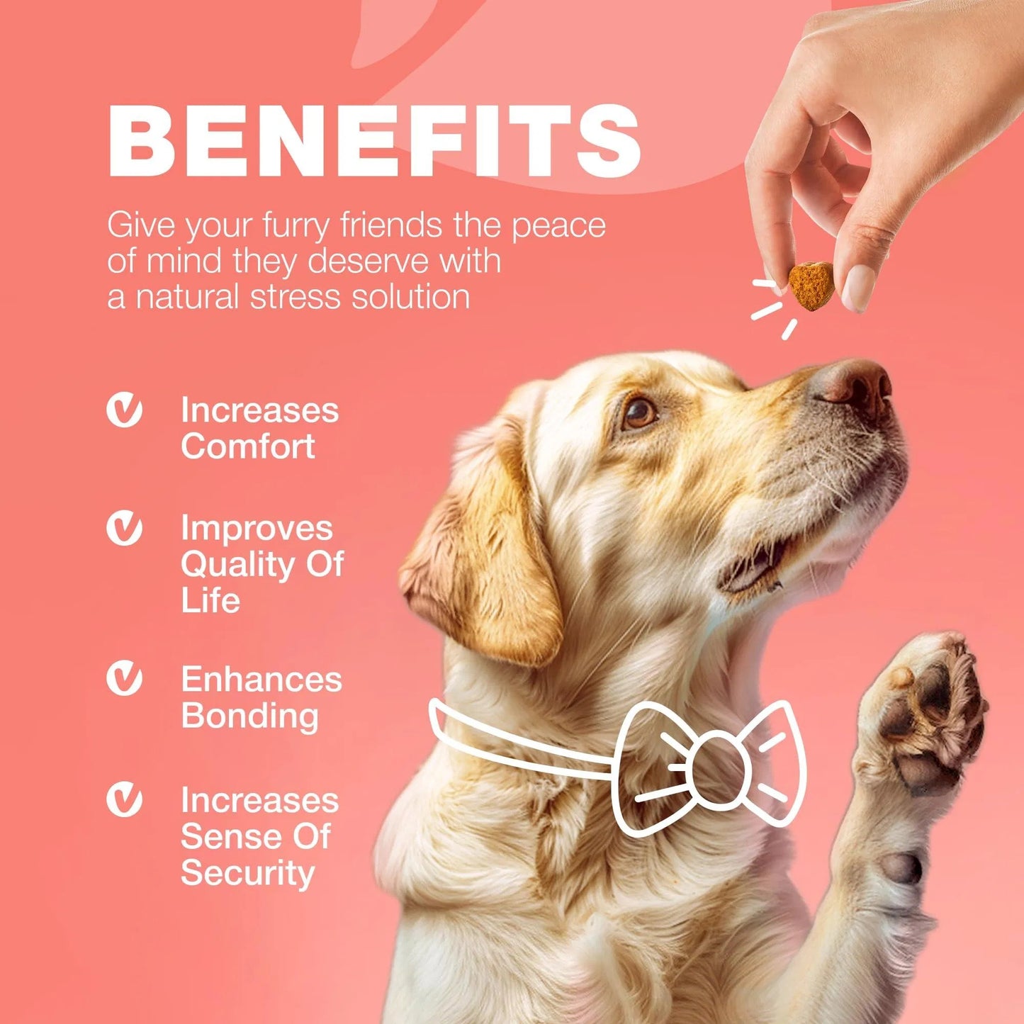 Natural Flea & Tick Prevention Chews for Dogs - Immune Support Delicious Soft Treats - All-Breed Safe Flea Tick Control Vet-Recommended Flea Tick Chews with Immune Boost