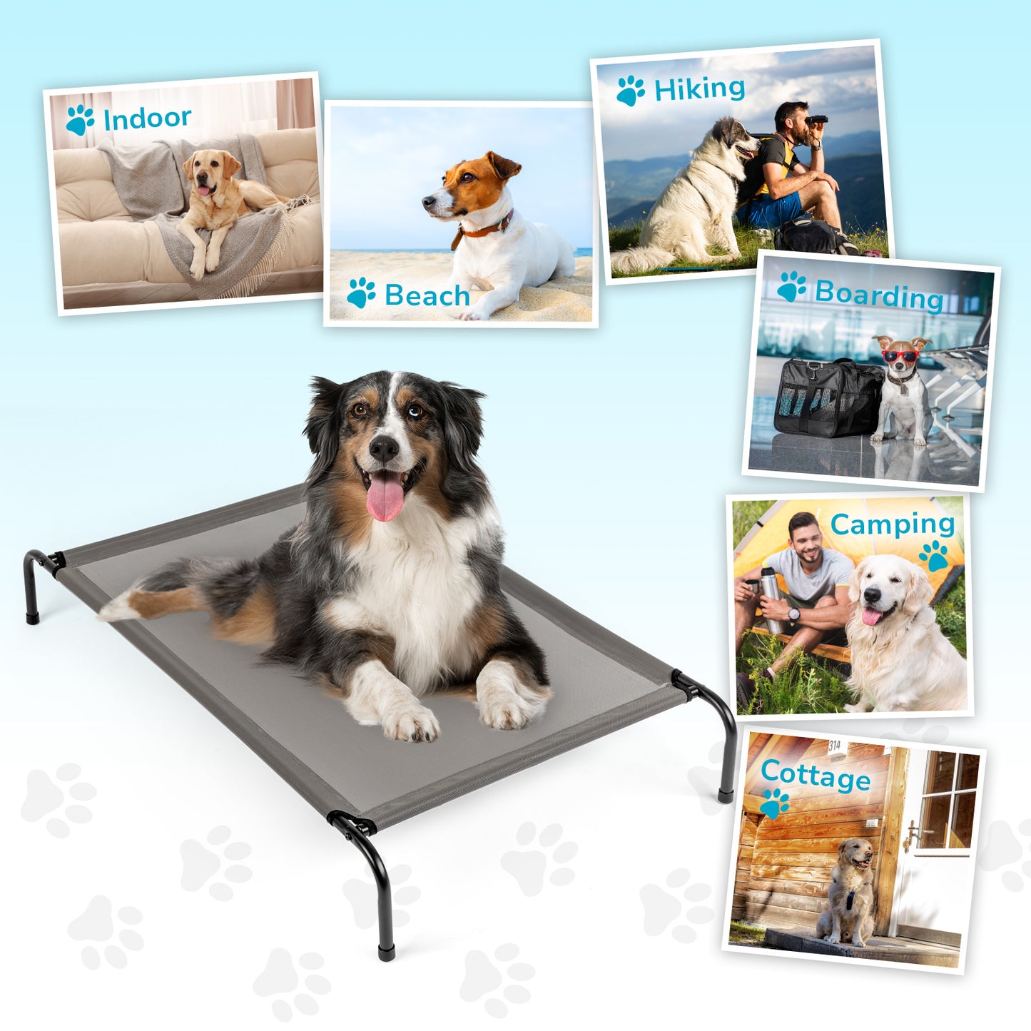 Elevated Dog Bed - 8in Height, Cool Airflow Design, 60LB Capacity, Indoor/Outdoor Pet Bed