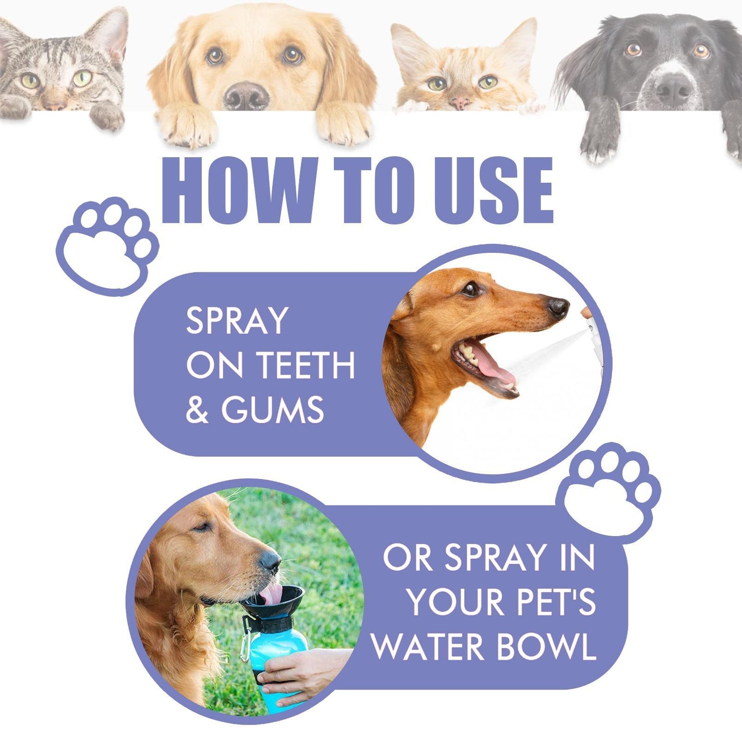 Yegebang Pet Oral Cleaning Spray - Teeth Cleaning & Deodorizing for Cats & Dogs - Fresh Breath Formula