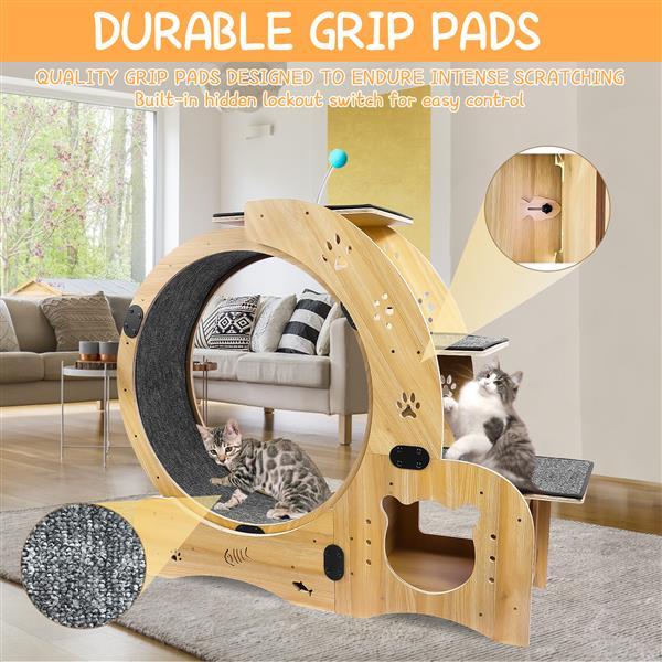 6 in 1 Upgraded Indoor Cat Wheel Sports Device Cat Exercise Wheel Multi Function Cat Fitness Equipment