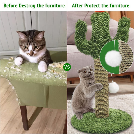 Cactus Shaped 2 in 1 Cat Climbing Tree Solid Wooden Base Natural Sisal Scratching Post with Suspended Balls Indoor Multi Level Activity Center for Climbing Claw Sharpening Play Cat Tree