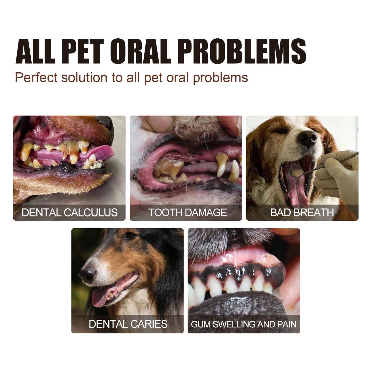 Pet Tooth Cleaning Spray 99% Oral Bacteria Killer Enzyme-Activated Formula Quick Bad Breath Elimination Plaque Tartar Remover Pet Dental Care Spray for Dogs Cats Oral Hygiene Pet Supplies