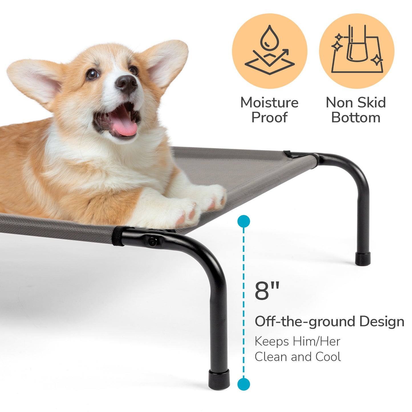 Elevated Dog Bed - 8in Height, Cool Airflow Design, 60LB Capacity, Indoor/Outdoor Pet Bed
