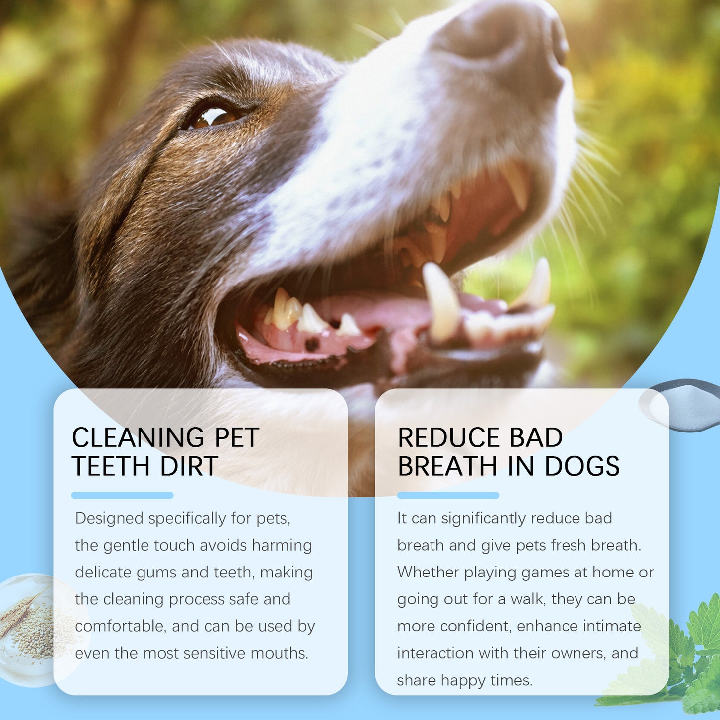 Oat Extract & Xylitol Pet Toothbrush - Ergonomic Design for Perfect Tooth Fit, Deep-Clean Gaps & Remove Plaque, Maintain Oral Health