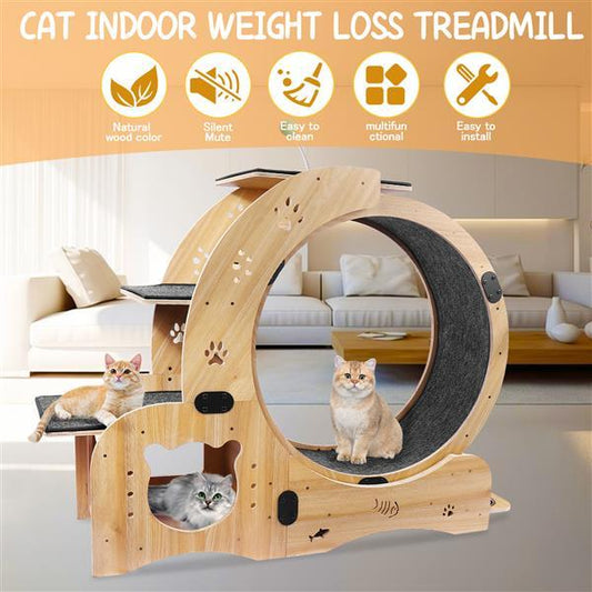 6 in 1 Upgraded Indoor Cat Wheel Sports Device Cat Exercise Wheel Multi Function Cat Fitness Equipment