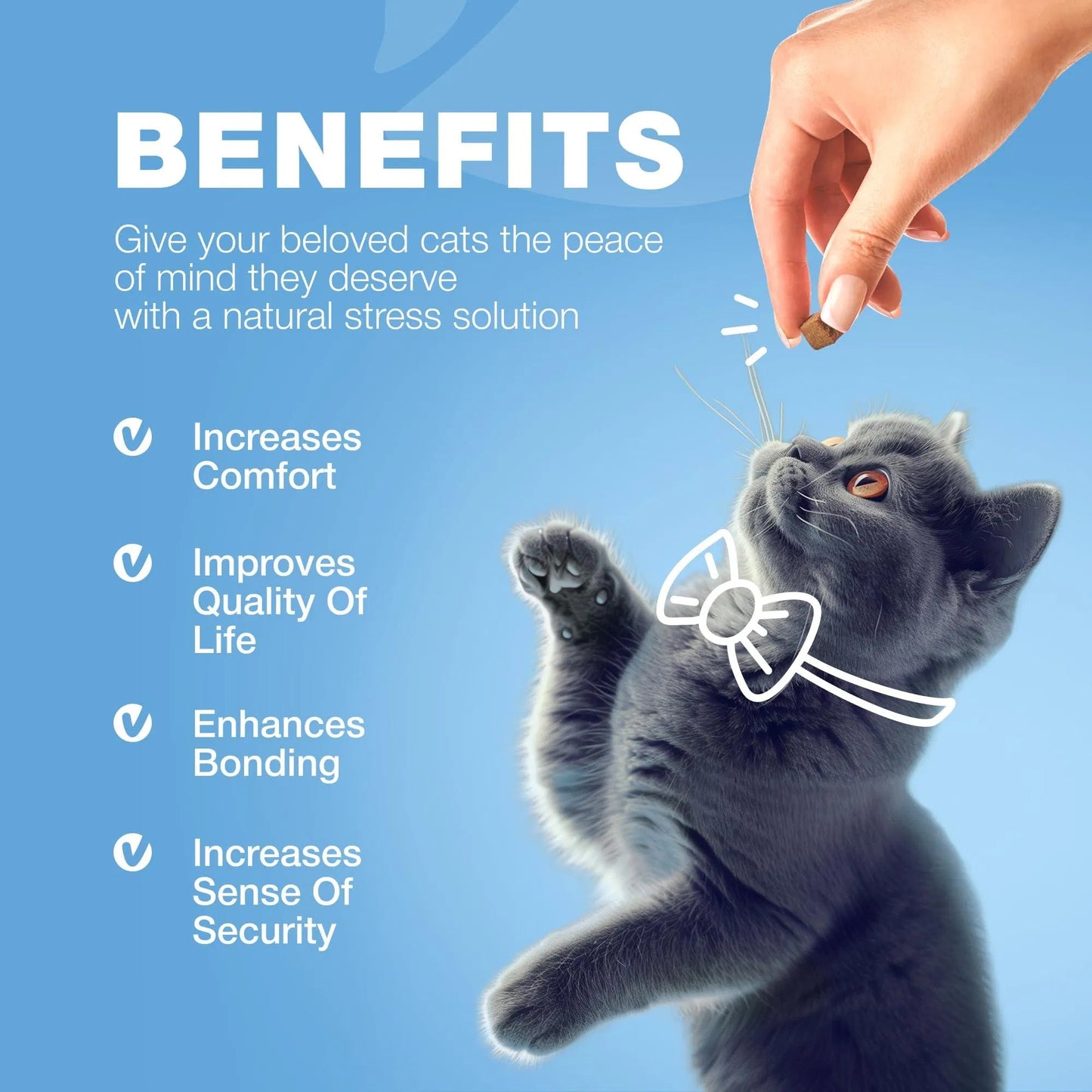 Natural Hemp & Melatonin Calming Treats for Cats with Hemp Seed Oil & Probiotics - Anxiety Relief Storms, Travel, Grooming & Separation - Soft Chews Feline Calming Aid for Stress & Daily Anxiety