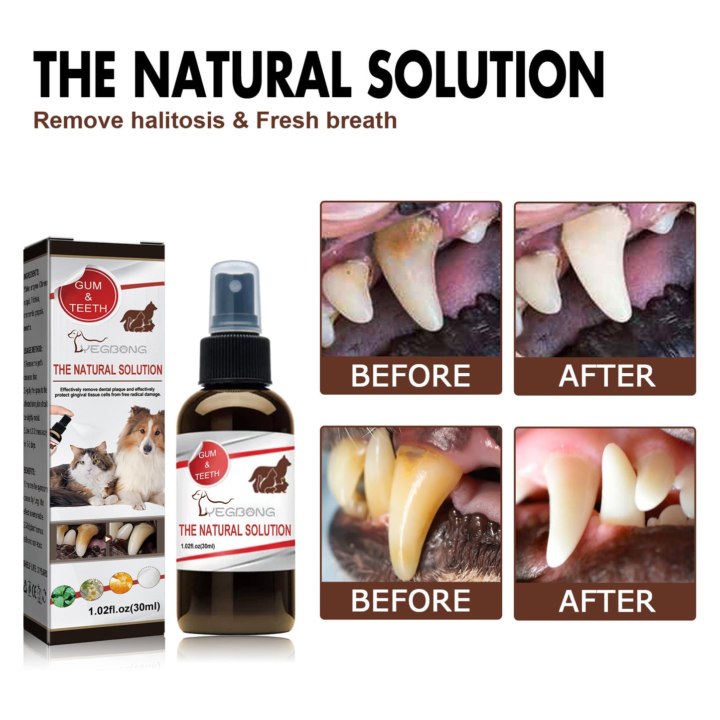 Premium Pet Dental Cleaning Spray - Tartar Remover Freshens Breath | Vet Approved Natural Formula | Safe Daily Use for Dogs Cats